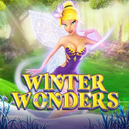 Winter Wonders