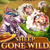 Sheep Gone Wild